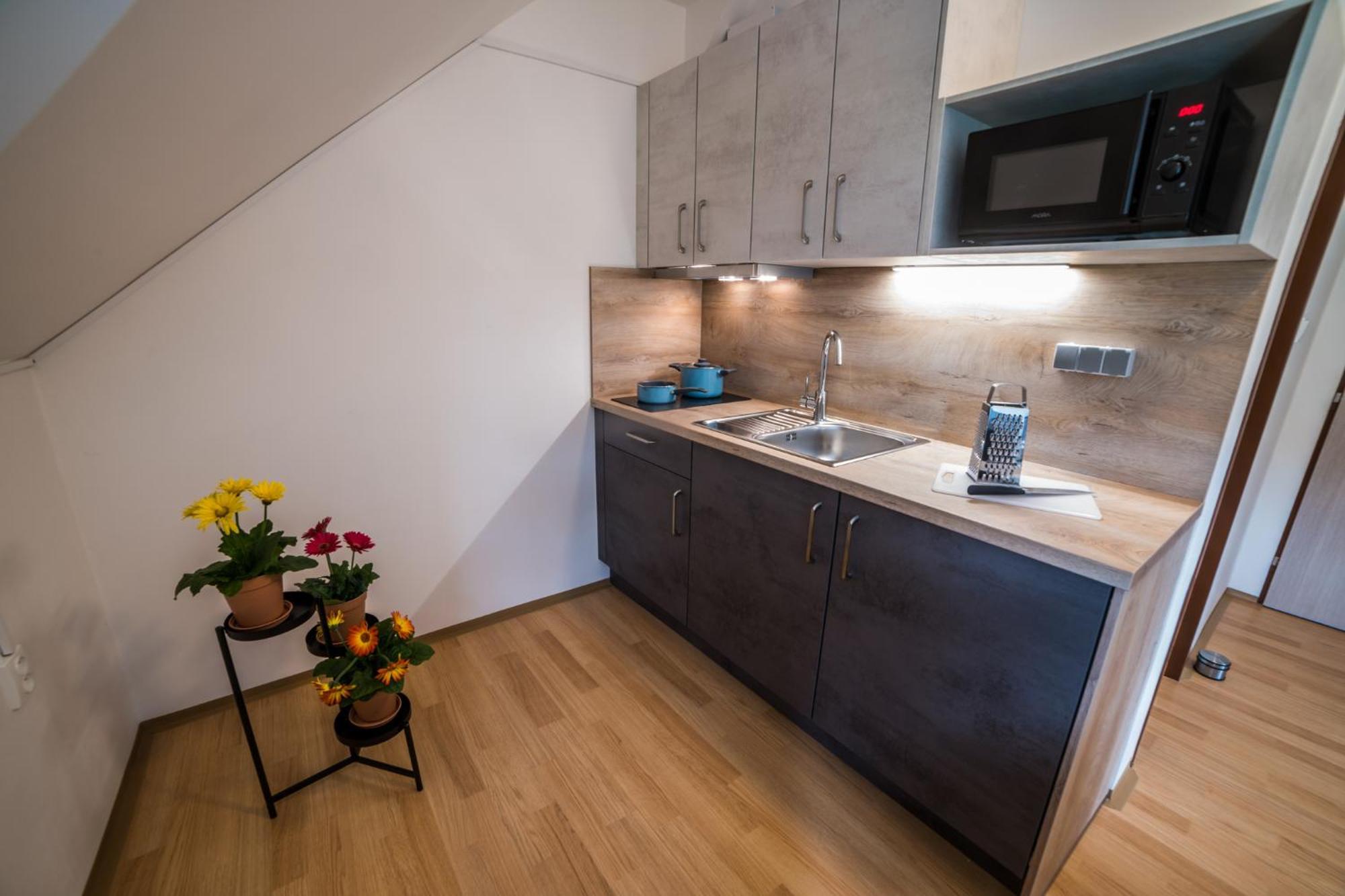Apartmany Hasicarna Horní Vltavice Exteriör bild